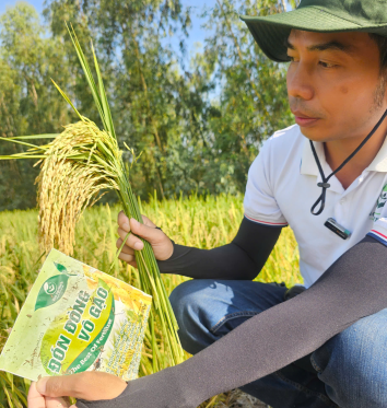 Đón đòng vo gạo 