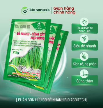 CHÚ BẢY PHƯỚC - THẠNH AN - THẠNH HÓA - LONG AN 