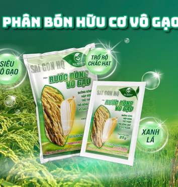 ANH TÝ - LÚA 75 NGÀY 