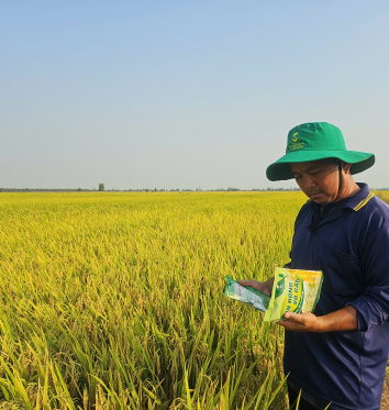 CHIỀU CHIỀU THĂM ĐỒNG CÙNG BÀ CON NÔNG DÂN 