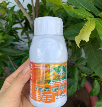 🌾 CHÚ MINH CHIA SẺ SAU 2 VỤ SỬ DỤNG SẢN PHẨM BIOAGRITECH – LÚA ĐẸP, BÔNG CHẮC, HẠT SÁNG ĐẾN NGÀY THU HOẠCH! 🌾