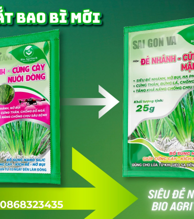 THÔNG BÁO THAY ĐỔI BAO BÌ SẢN PHẨM 