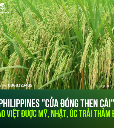 PHILIPPINES 