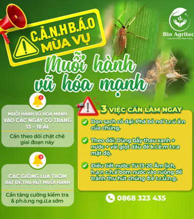🚨 C.Ả.N.H B.Á.O M.Ù.A V.Ụ: M.U.Ỗ.I H.À.N.H V.Ũ H.Ó.A MẠNH 