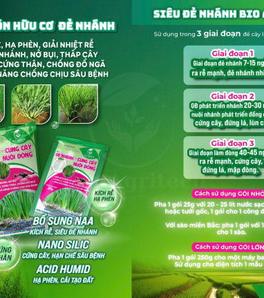 GIẢI PHÁP LOẠI BỎ NGỘ ĐỘC PHÂN HÓA HỌC 