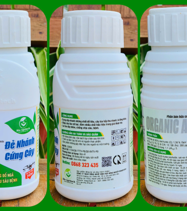 SẢN PHẨM MỚI - ĐẺ NHÁNH CỨNG CÂY CHAI 240ML 