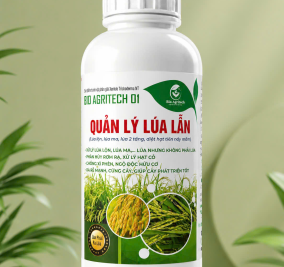 XỬ LÝ LÚA LẪN CHAI 1 LÍT 
