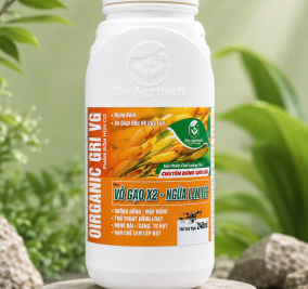 Vô gạo X2- Ngừa Lem lép chai 240ml 