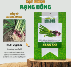 Hạt Giống Hành lá gốc tím