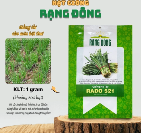 Hạt giống Hẹ tây