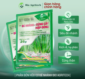 [MIỄN SHIP ] COMBO 10 GÓI ĐẺ NHÁNH CỨNG CÂY MẬP ĐÒNG 25G 